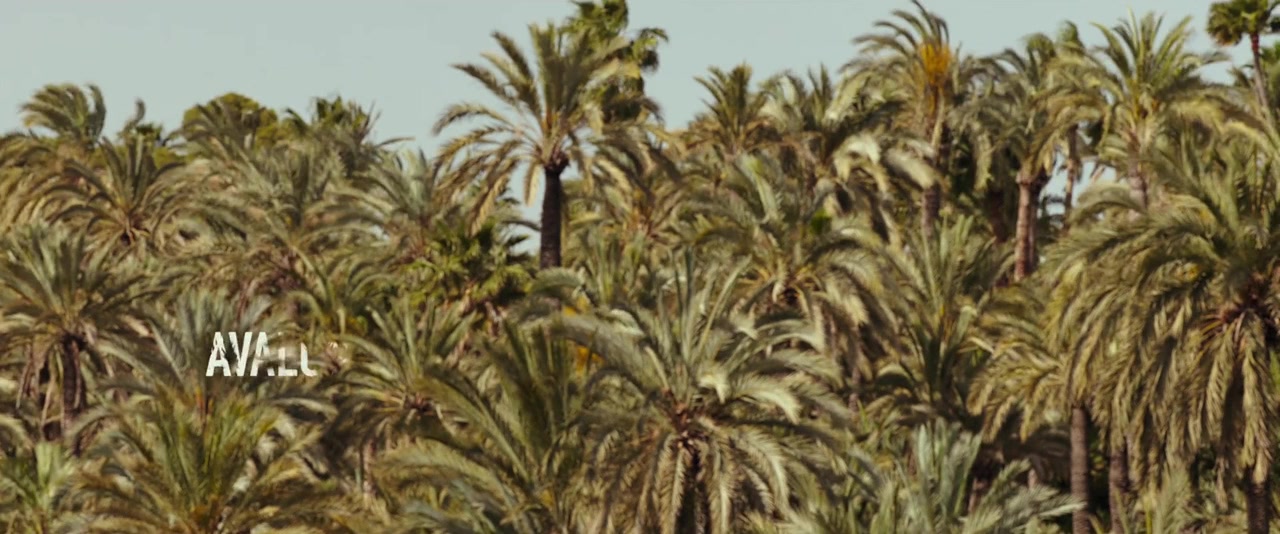 Amar screenshot 1