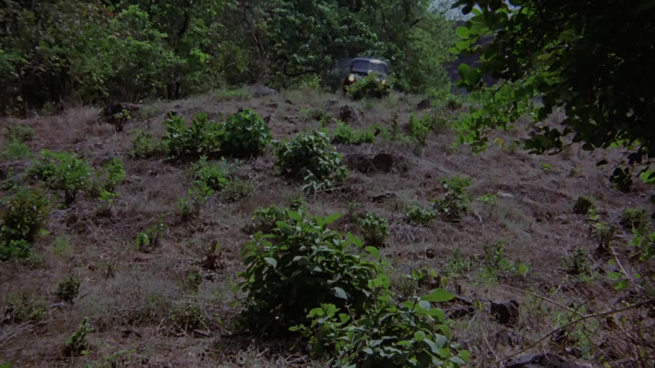 Amar Akbar Anthony screenshot 1