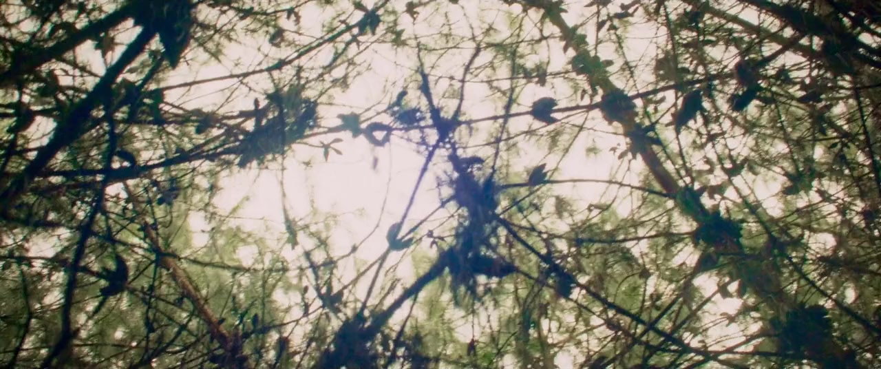 Amar es Madurar screenshot 1