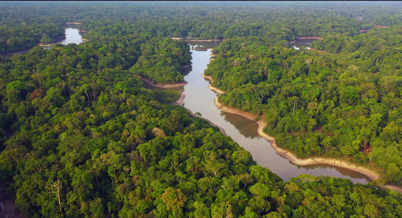 Queen of the Amazon screenshot 2