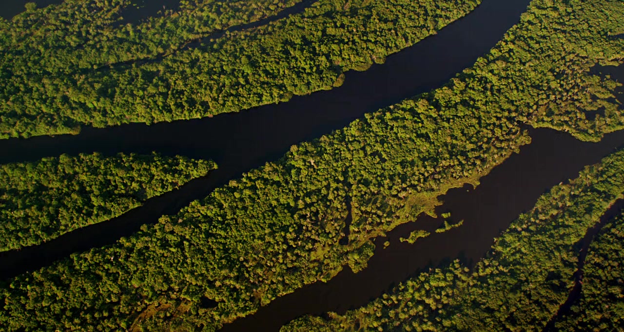 Amazonia screenshot 1