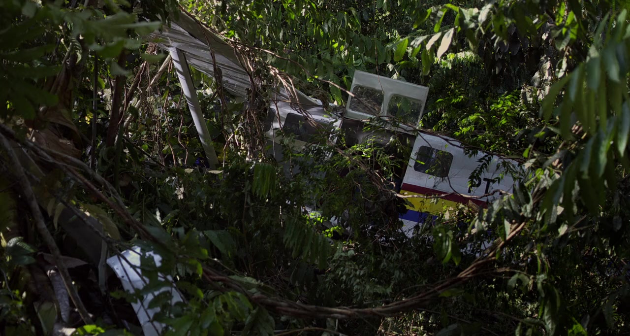 Amazonia screenshot 2