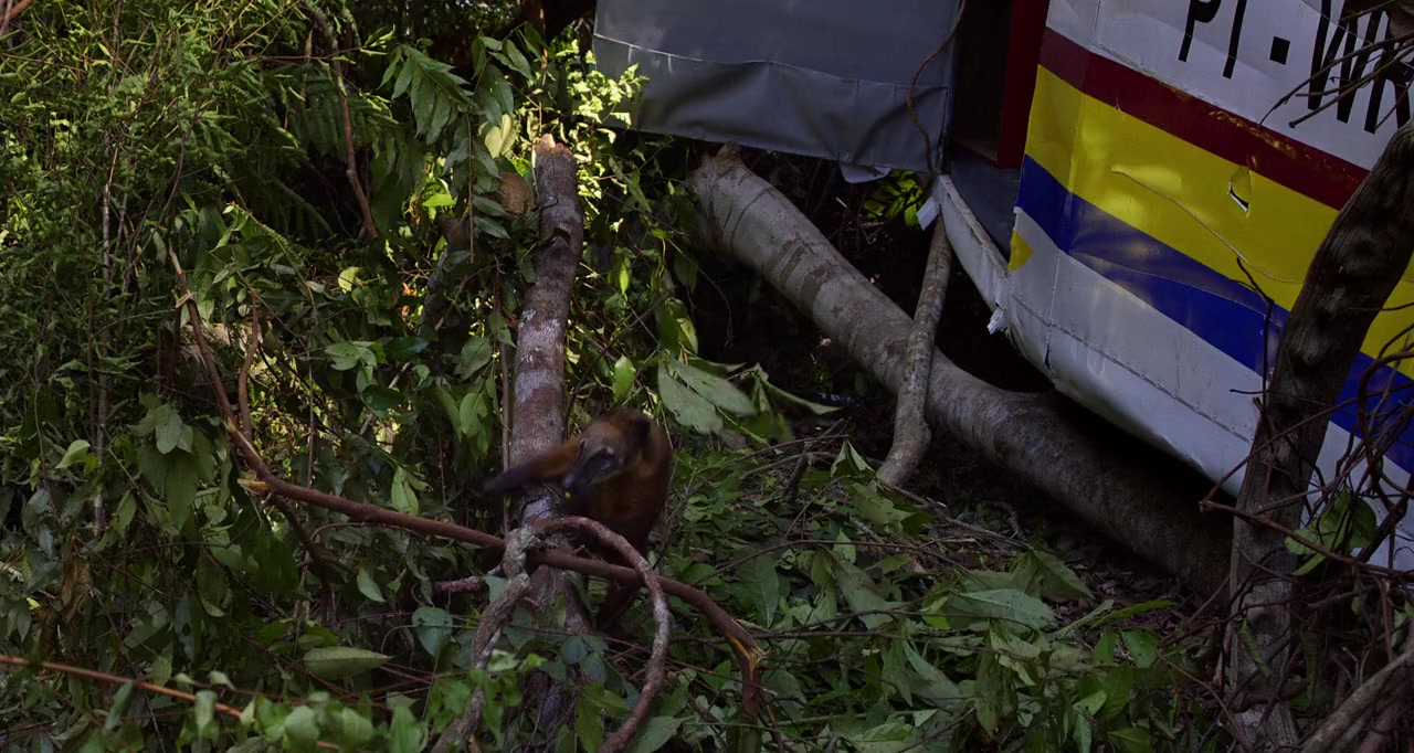 Amazonia screenshot 3