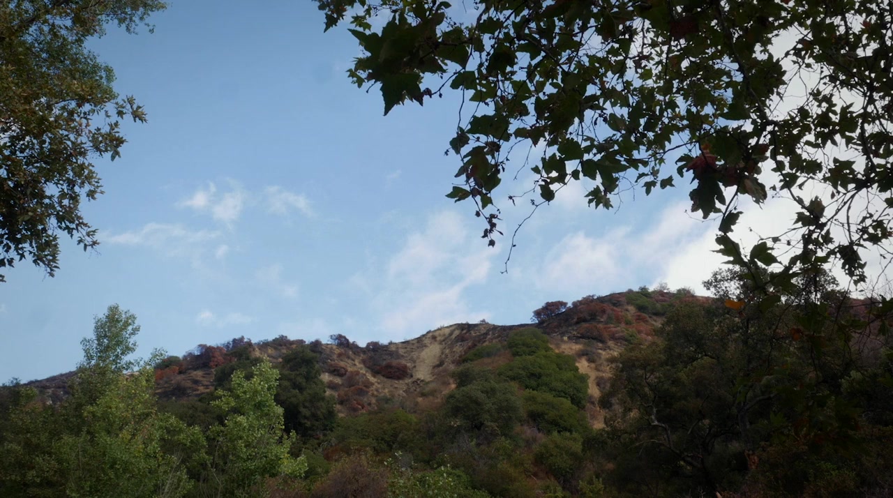 The Faith Club screenshot 1