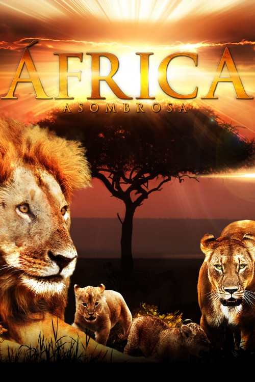 Faszination Afrika 3D (2011) poster