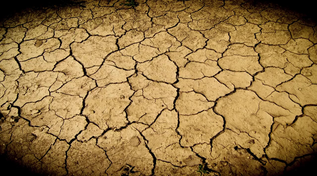 Faszination Afrika 3D screenshot 1