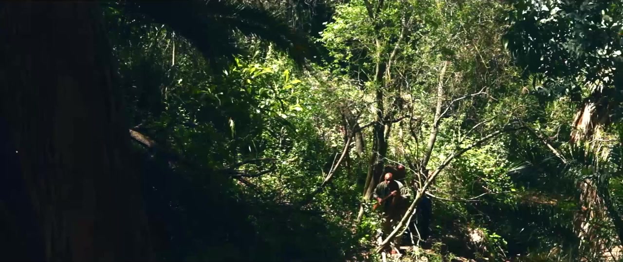 Amazing Ape screenshot 1