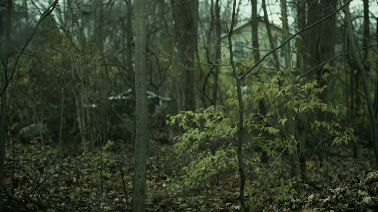 American Cryptids screenshot 2