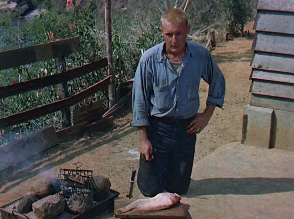 American Guerrilla in the Philippines screenshot 3