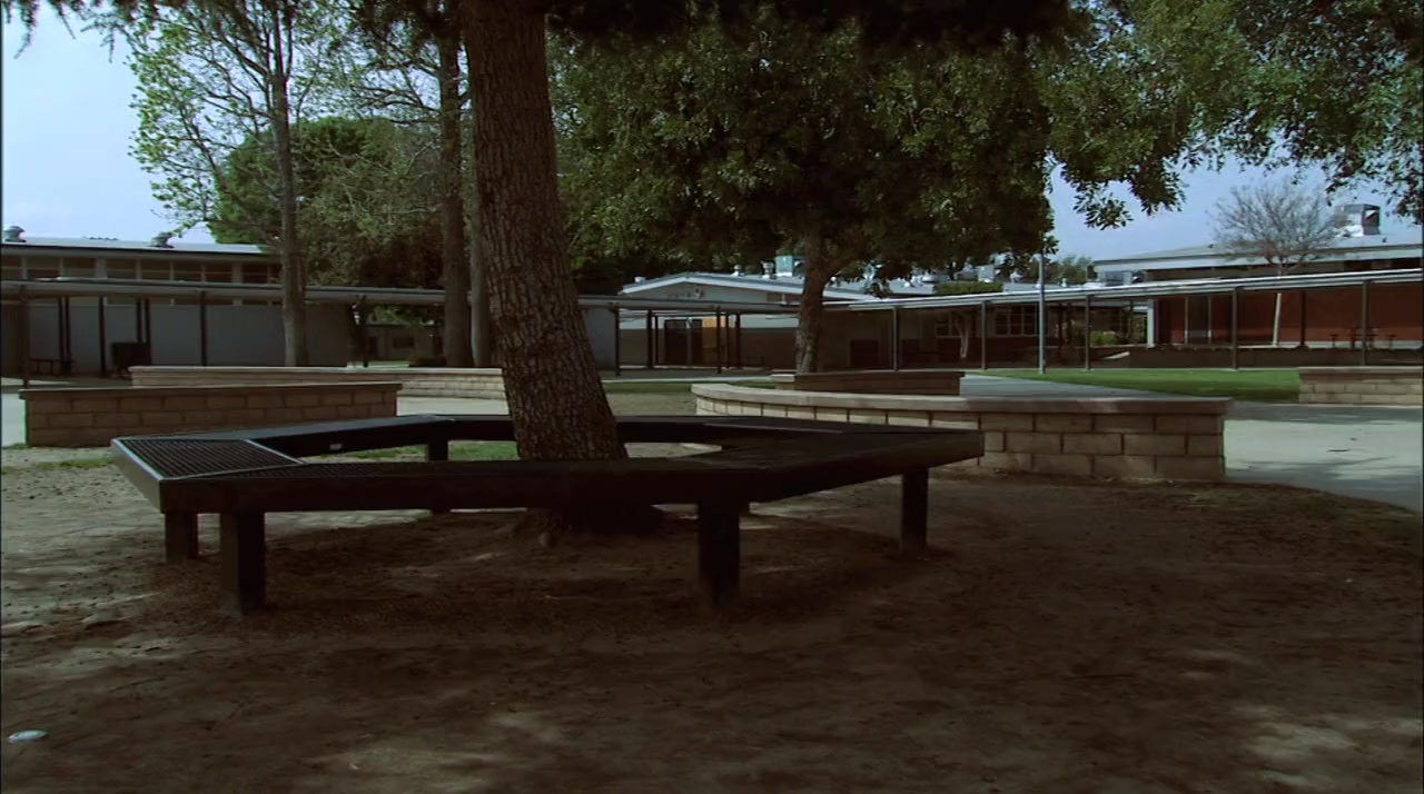American Hormones screenshot 1