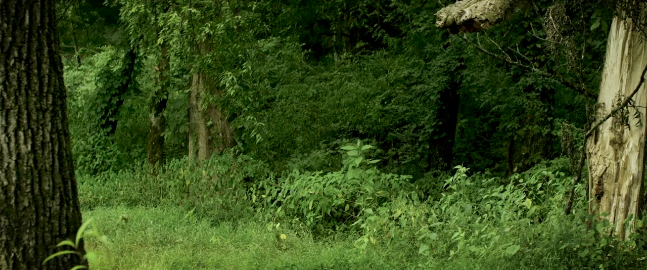 American Hunt screenshot 1