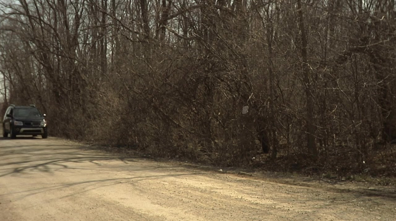 American Liar screenshot 1