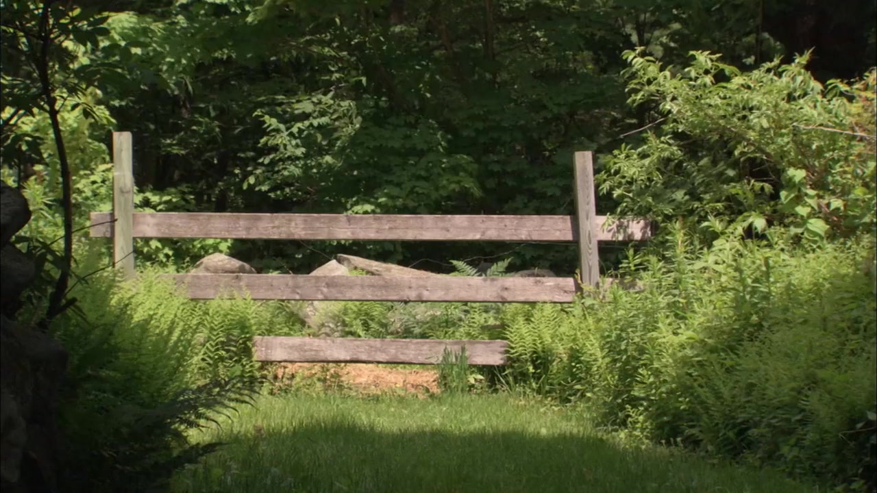 Louisa May Alcott: The Woman Behind 'Little Women' screenshot 3
