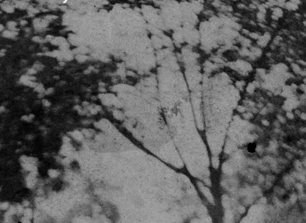 Preston Sturges: The Rise and Fall of an American Dreamer screenshot 3