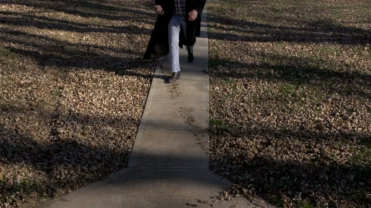 American Scarecrow screenshot 1