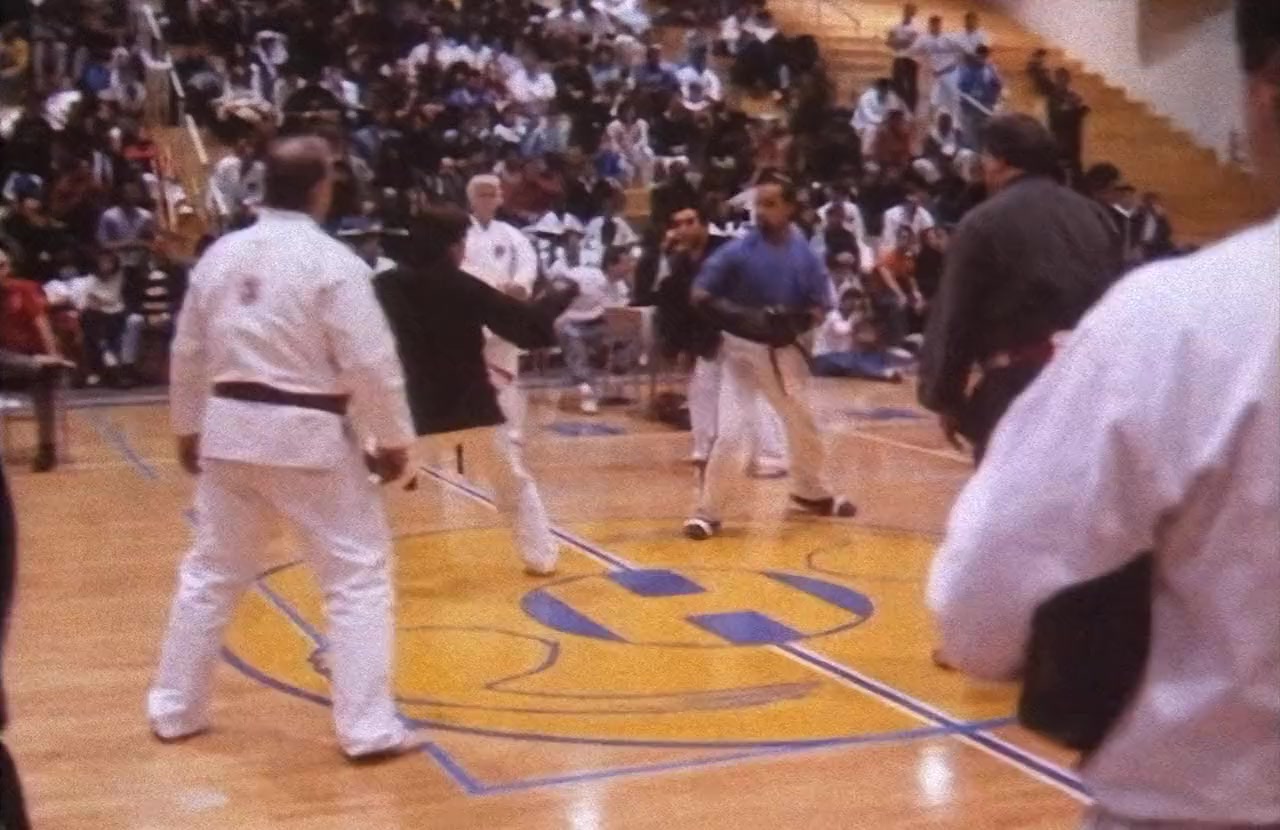 American Shaolin screenshot 1