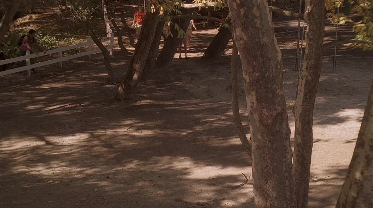 American Pie Presents: Band Camp screenshot 2