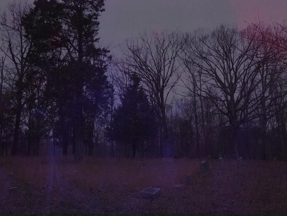American Werewolves screenshot 3