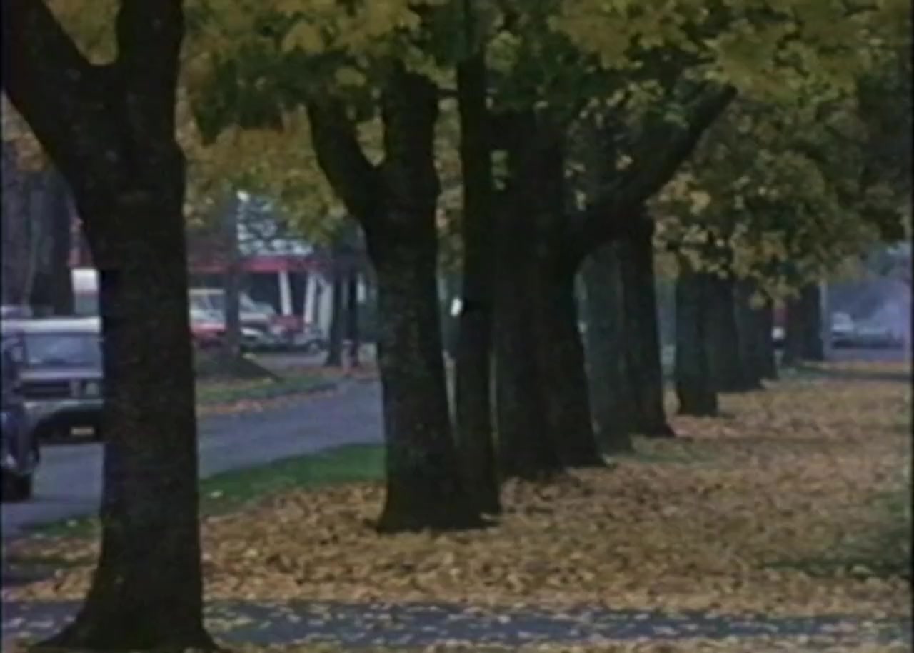 American Taboo screenshot 3