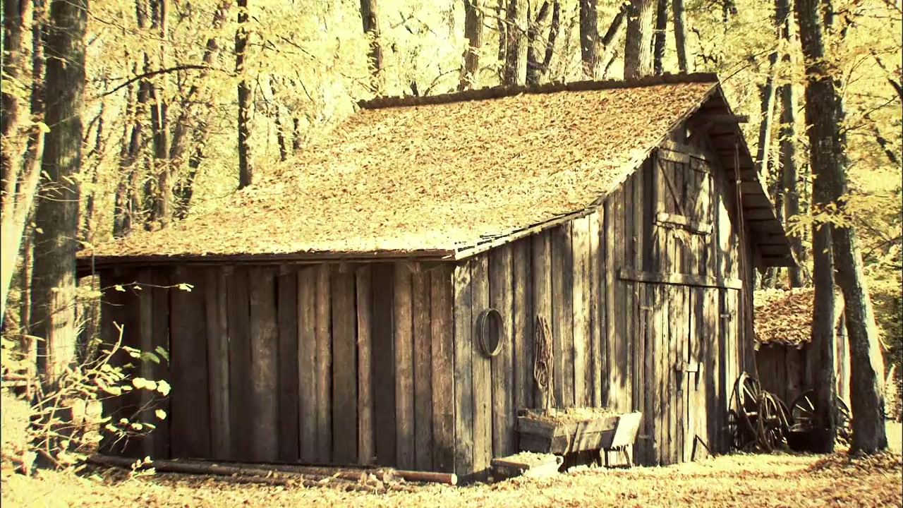 America's Feud: Hatfields & McCoys screenshot 1