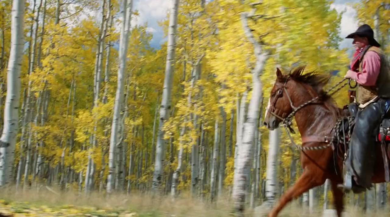America's Heart & Soul screenshot 2