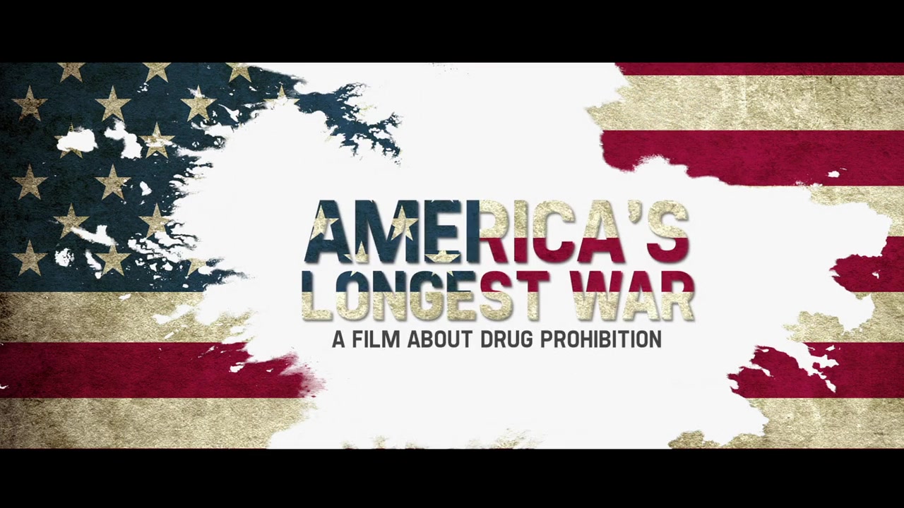 America's Longest War screenshot 1