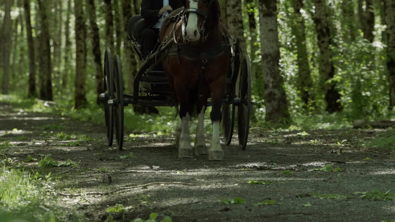 Amish Affair screenshot 1