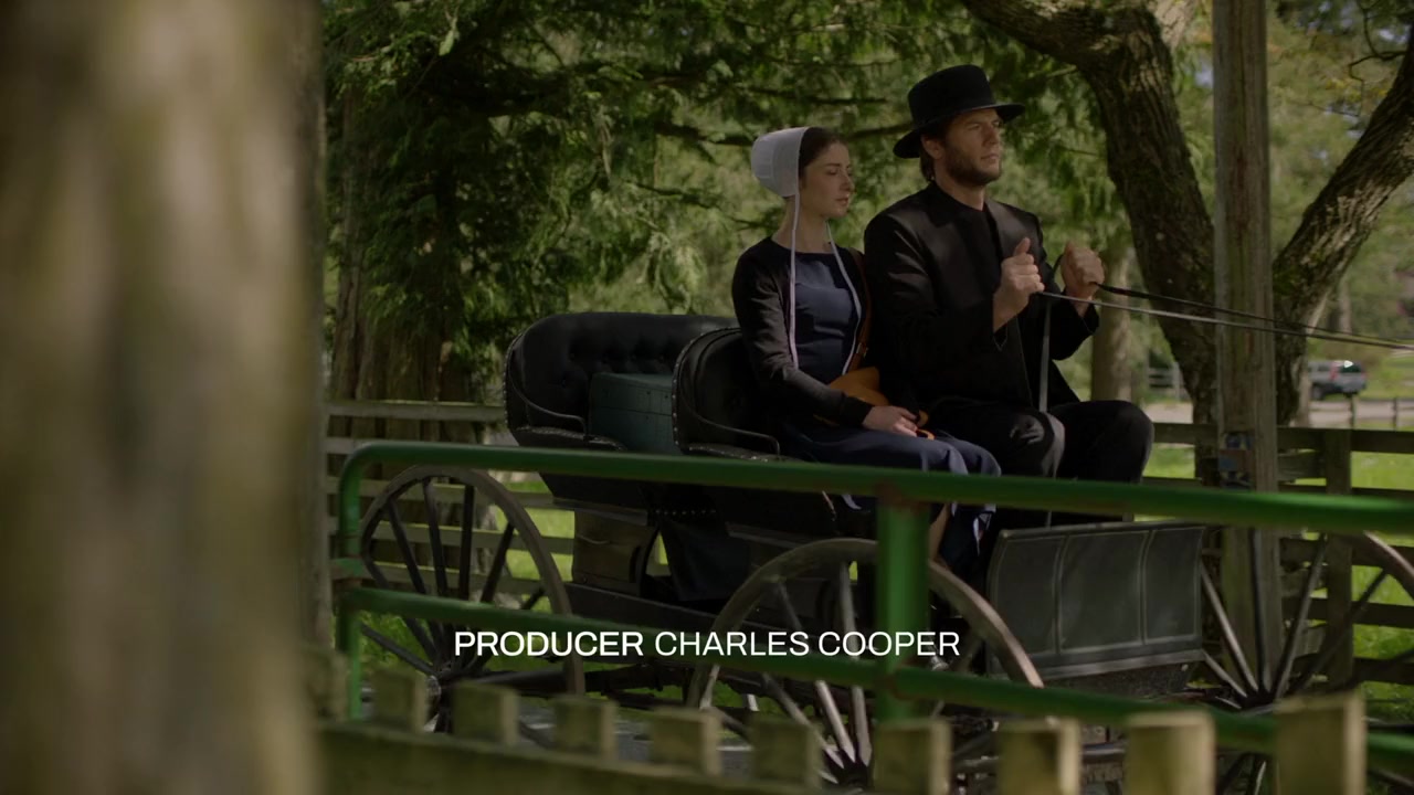 Amish Affair screenshot 3