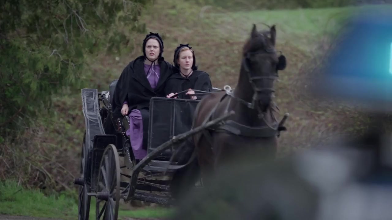 Amish Stud: The Eli Weaver Story screenshot 2