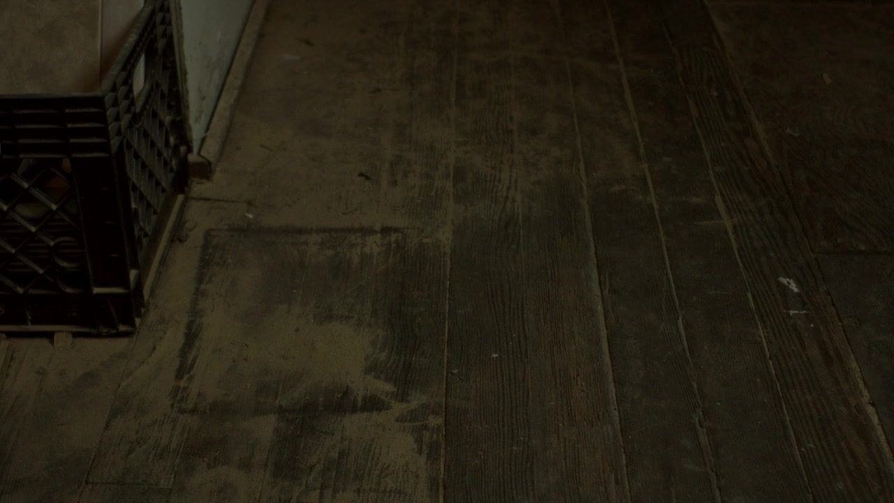 Amityville: Where the Echo Lives screenshot 2