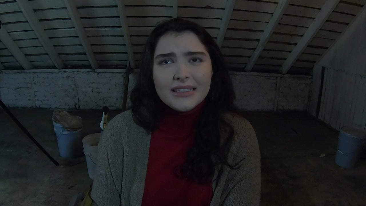 Amityville: Where the Echo Lives screenshot 3