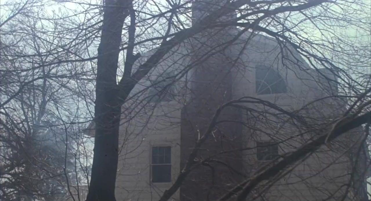 Amityville II: The Possession screenshot 2