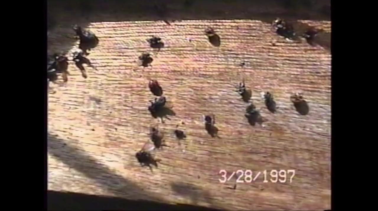 Amityville: No Escape screenshot 3