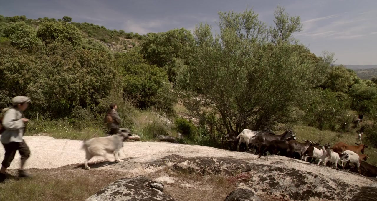 Entrelobos screenshot 2