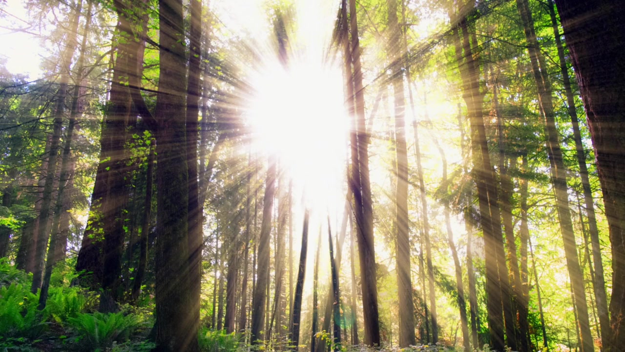 Among Us screenshot 1