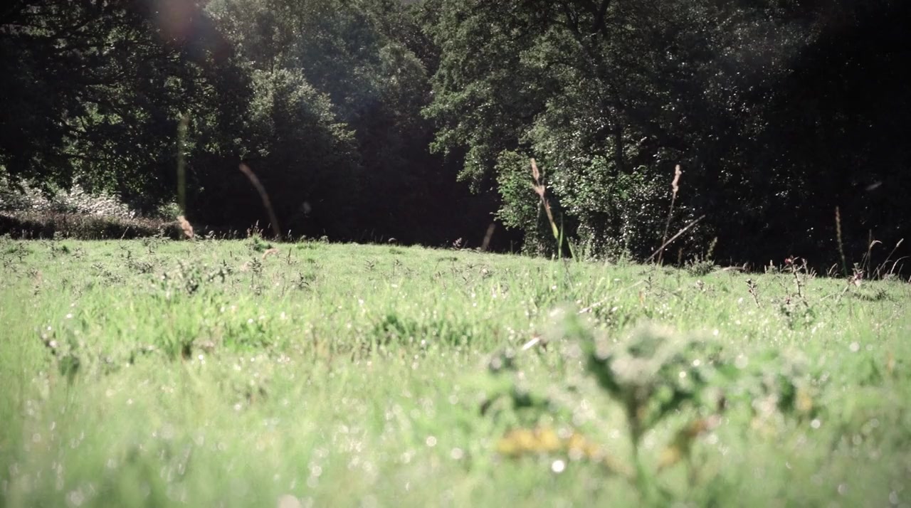 Hide and Seek screenshot 2
