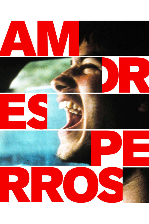 Amores perros (2000) poster