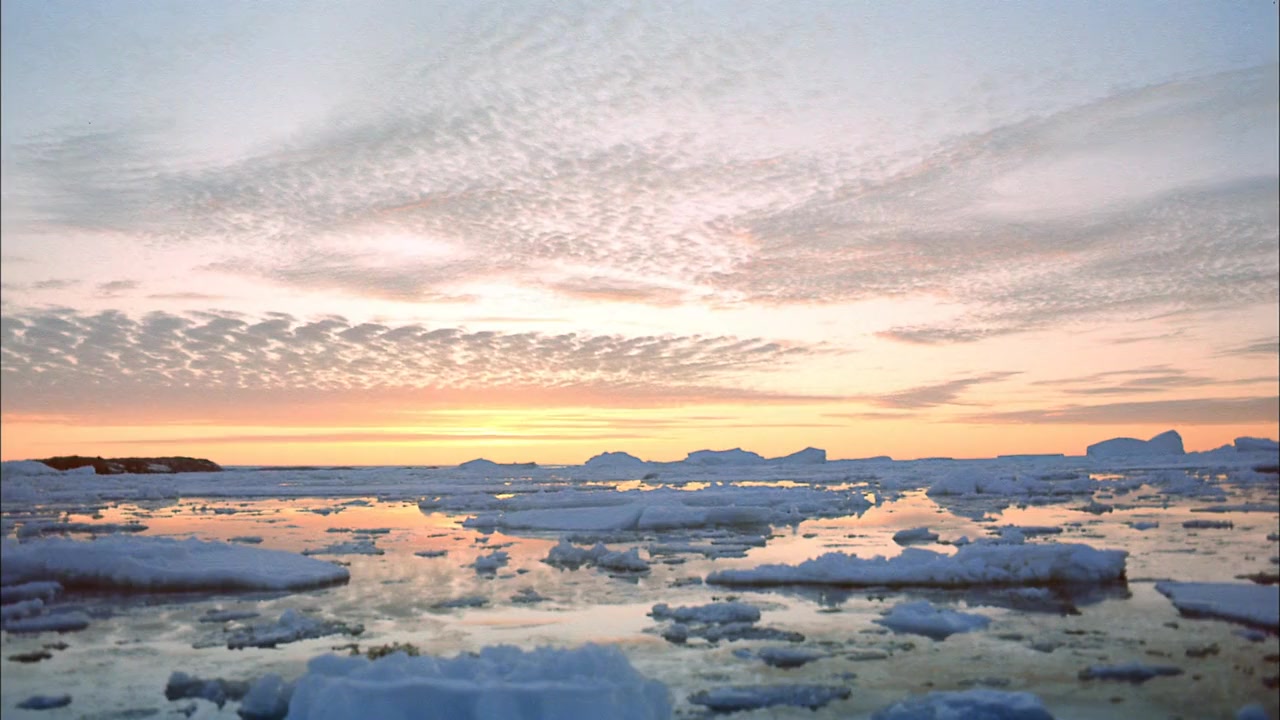 Antarctica screenshot 3