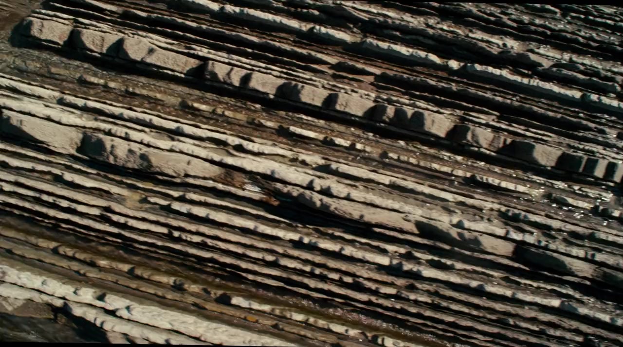 Anthropocene: The Human Epoch screenshot 1