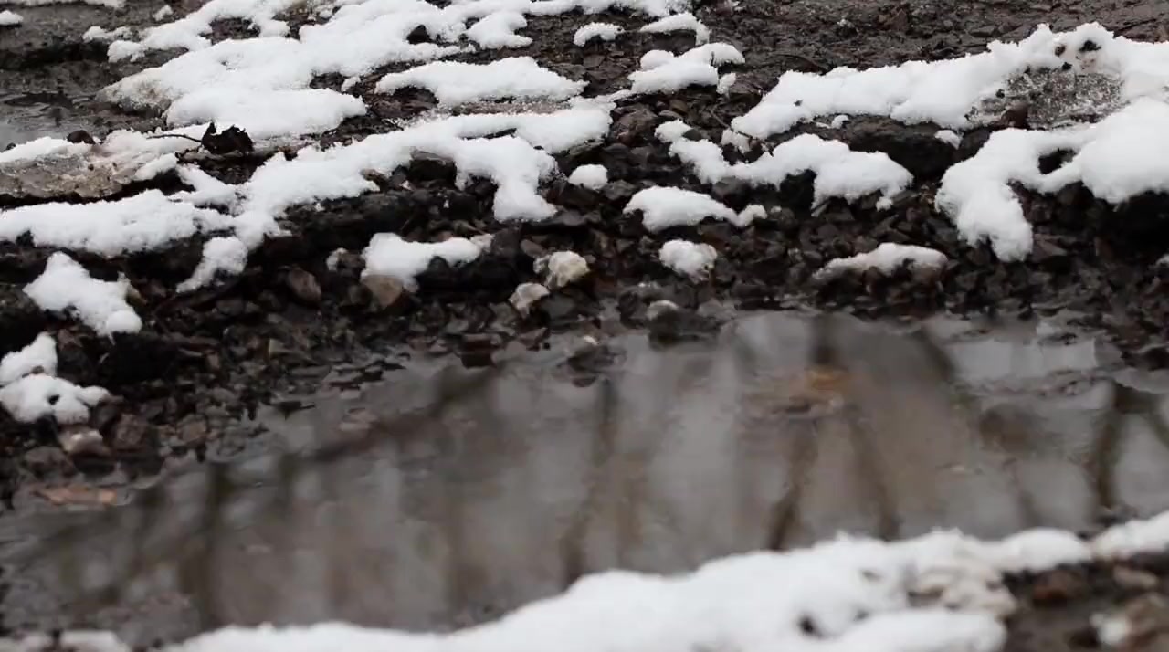 Anthropocene screenshot 3