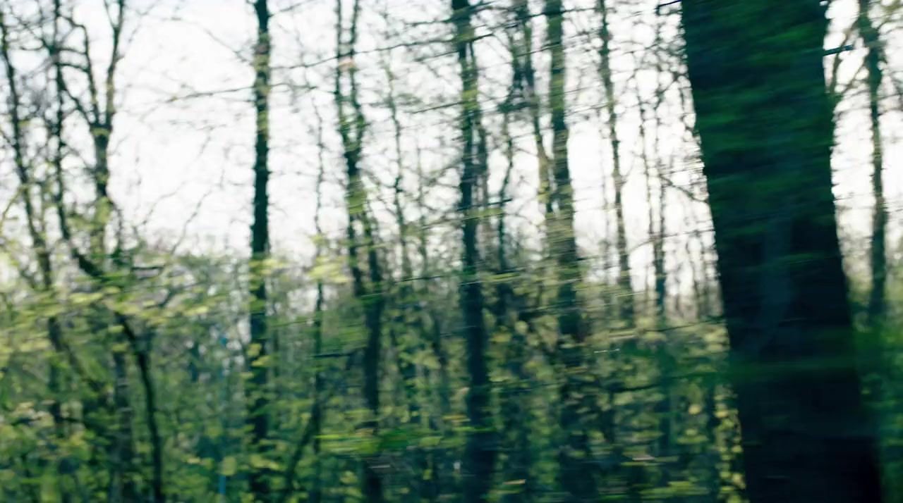 Antigone screenshot 2
