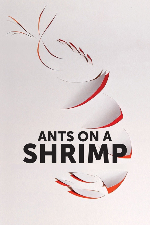 Ants on a Shrimp (2016) poster