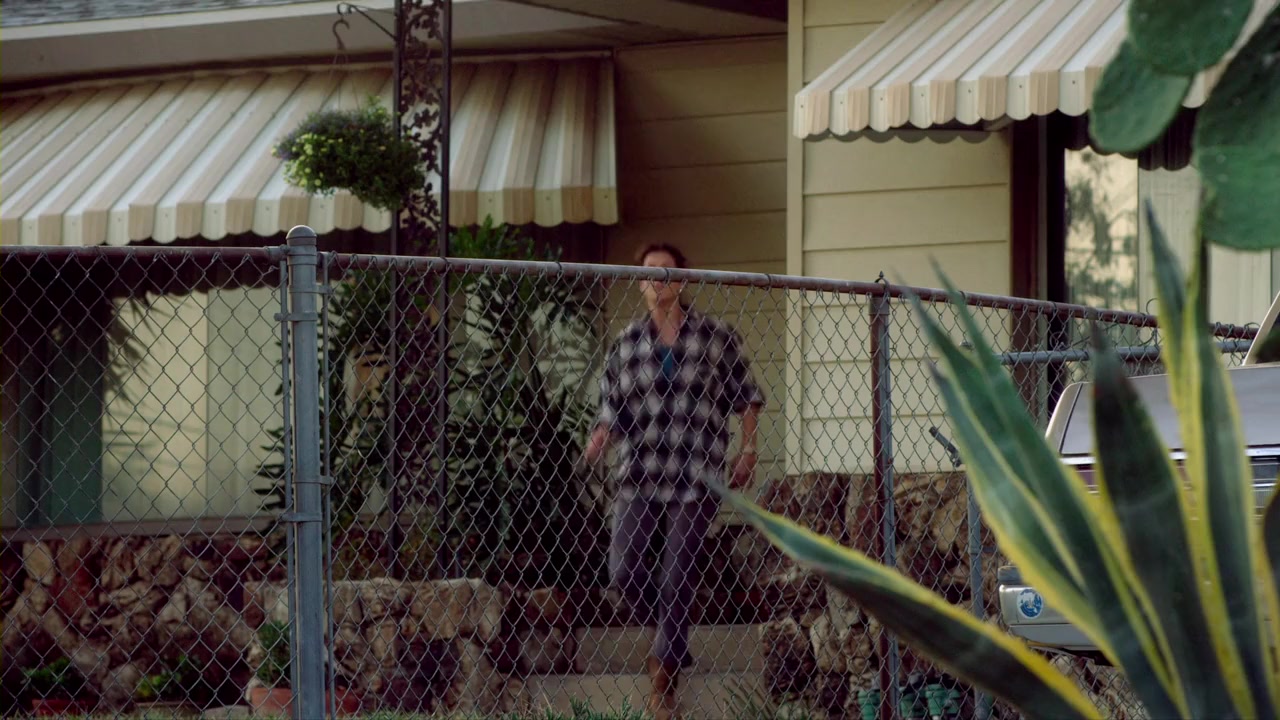 Any Day screenshot 2
