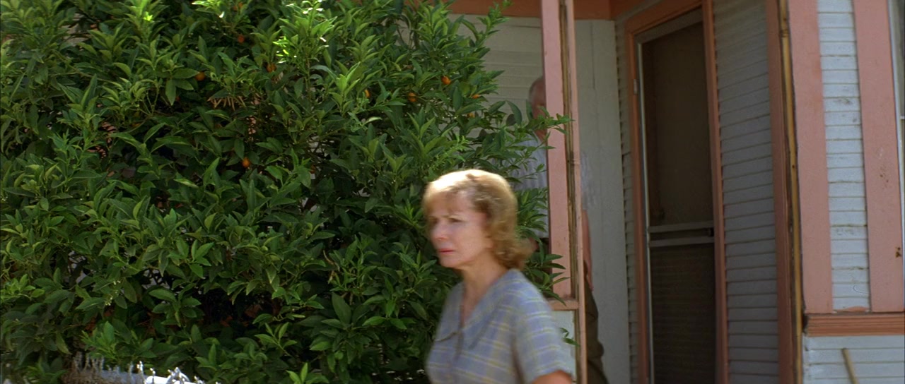 An American Crime screenshot 1