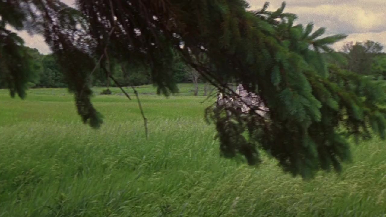 Felicity: An American Girl Adventure screenshot 3