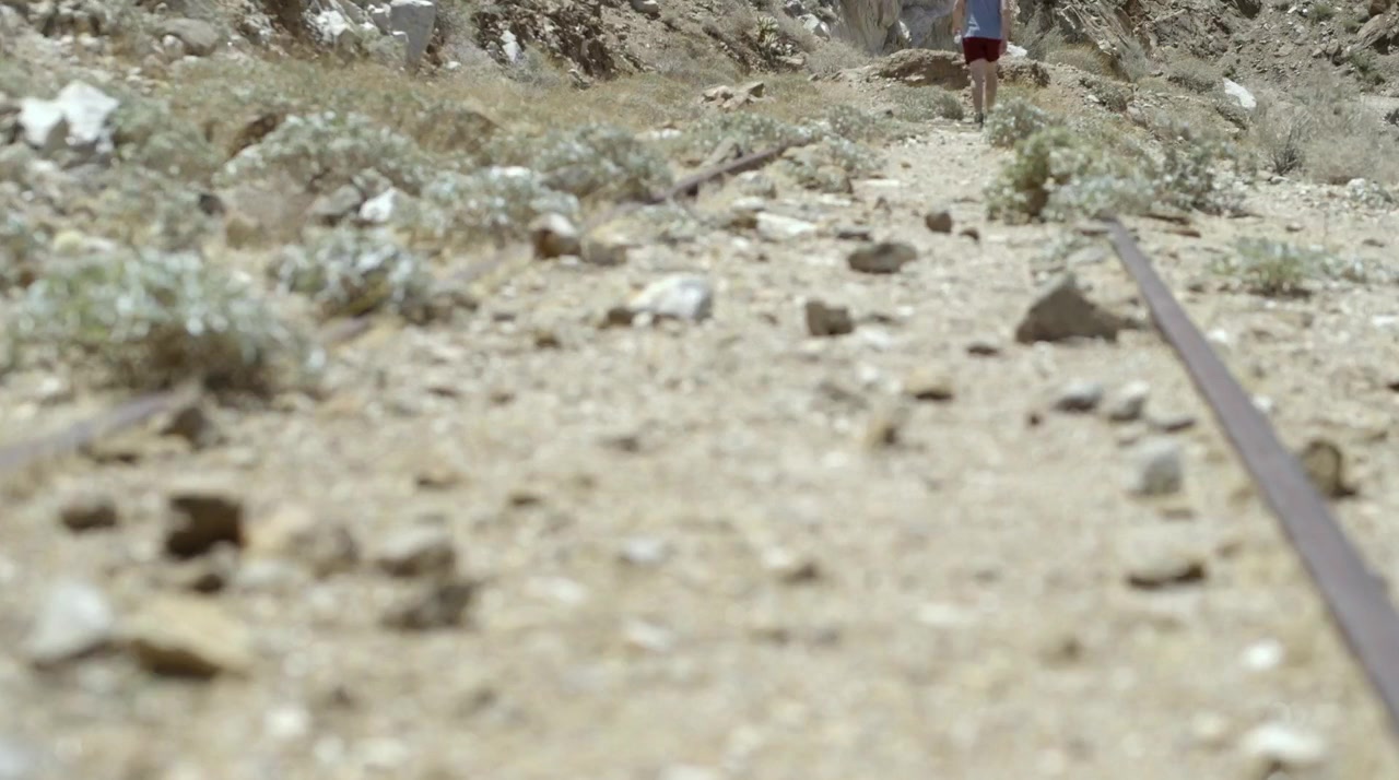 An American Zealot screenshot 1