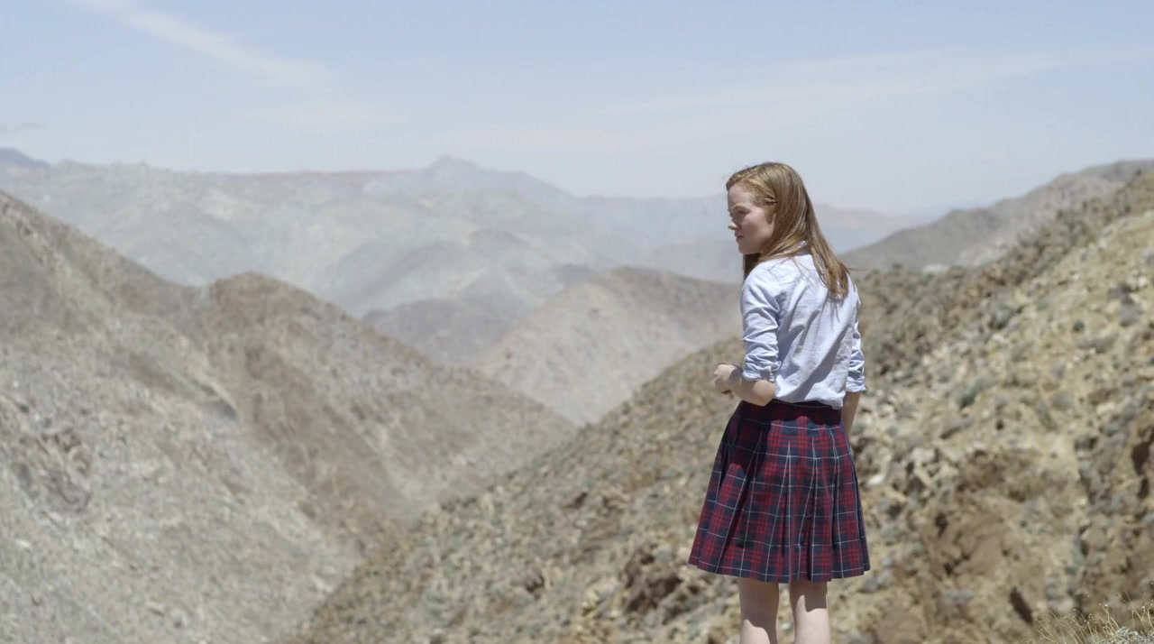 An American Zealot screenshot 3