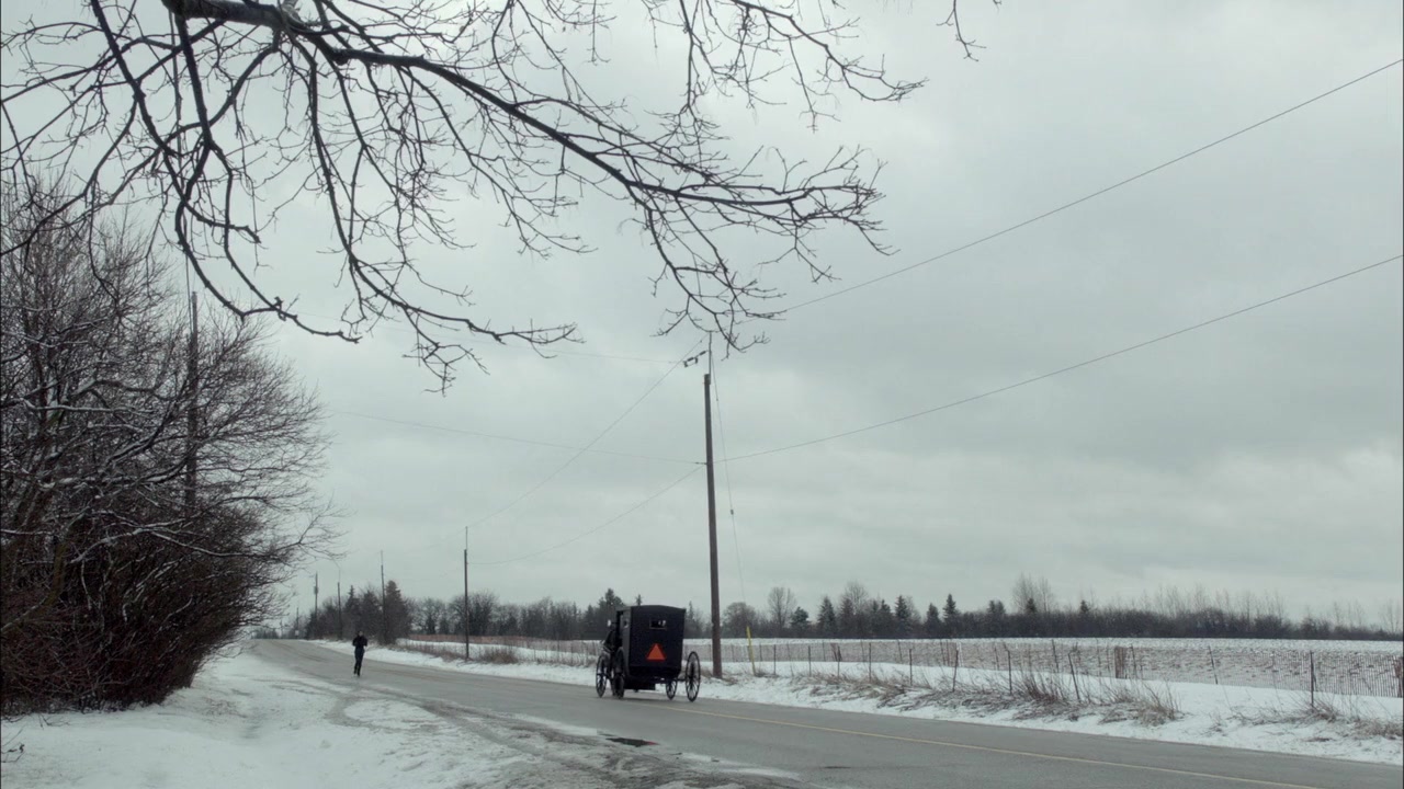 An Amish Murder screenshot 1