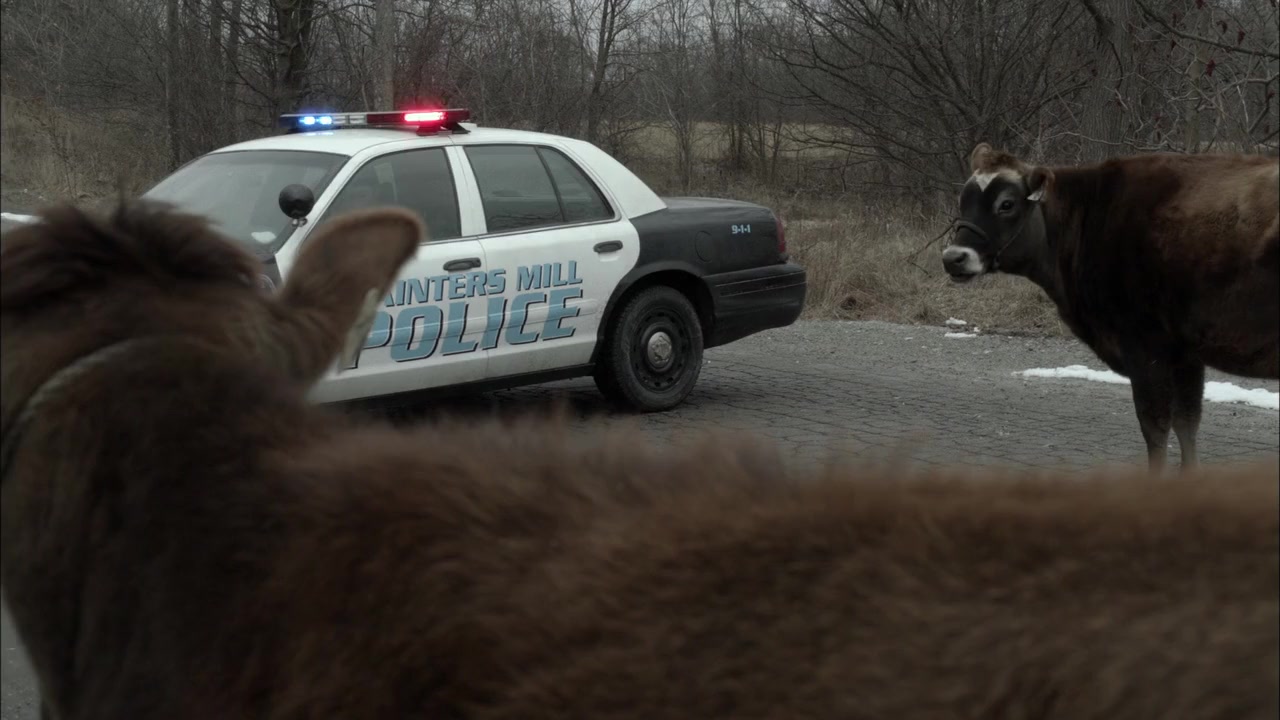 An Amish Murder screenshot 3