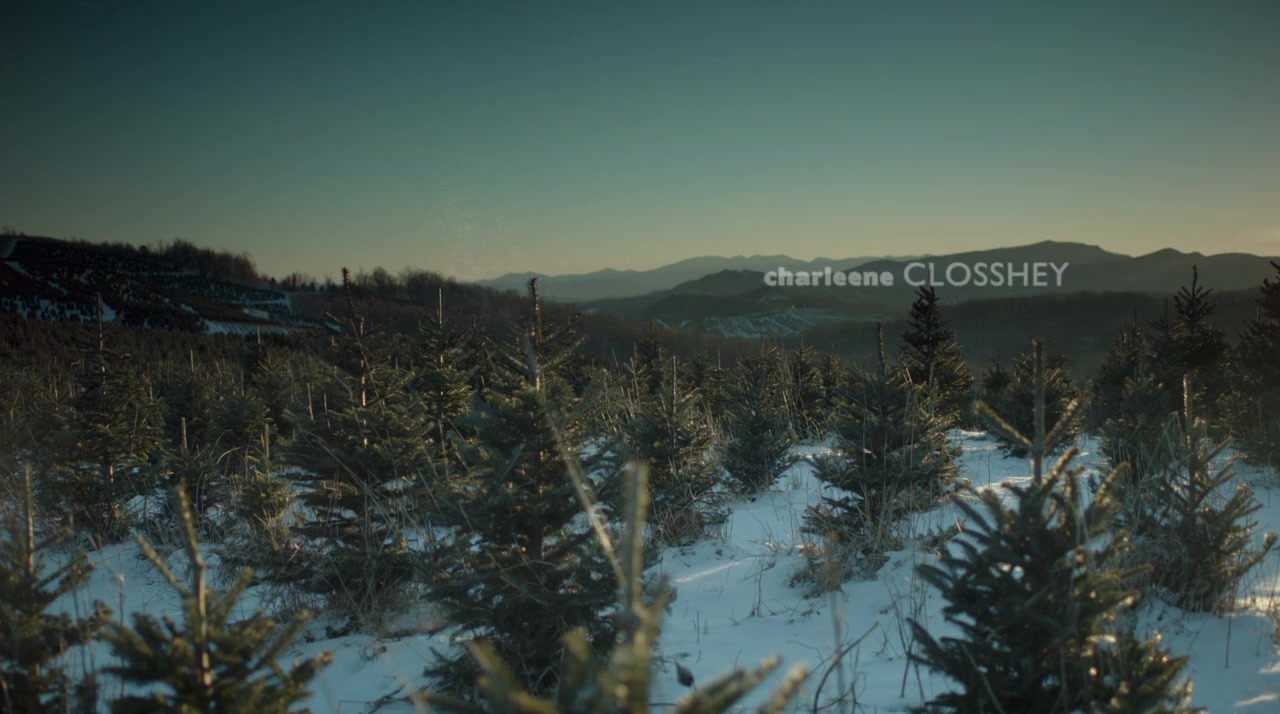 An Evergreen Christmas screenshot 1